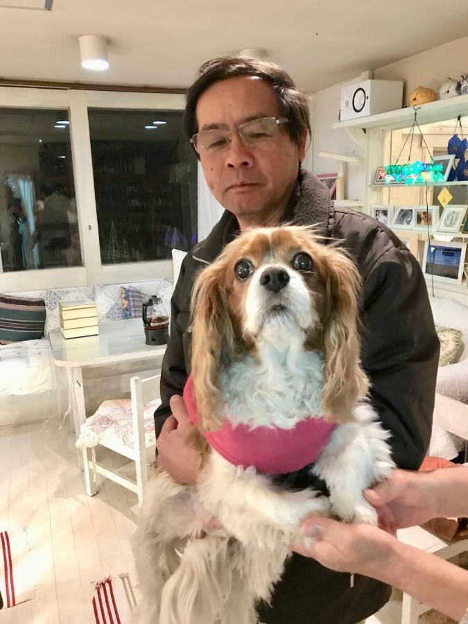 Mt Fuji Cat&Dog&Spa pension Blue Poppy Fujikawaguchiko Luaran gambar