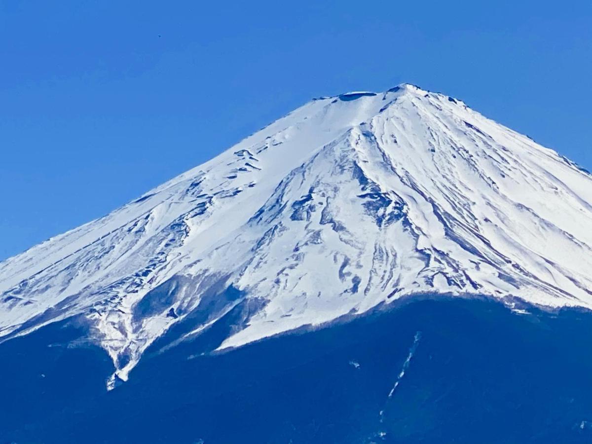 Mt Fuji Cat&Dog&Spa pension Blue Poppy Fujikawaguchiko Luaran gambar